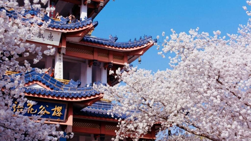Comment les influenceurs LinkedIn au Morocco collaborent avec les marques de South Korea