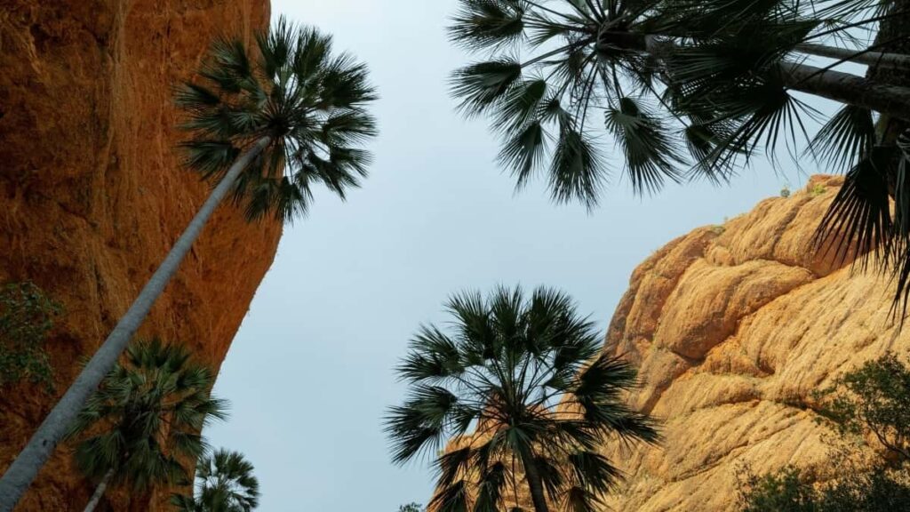 Tarif publicité Pinterest Brésil 2025 pour les annonceurs Marocains