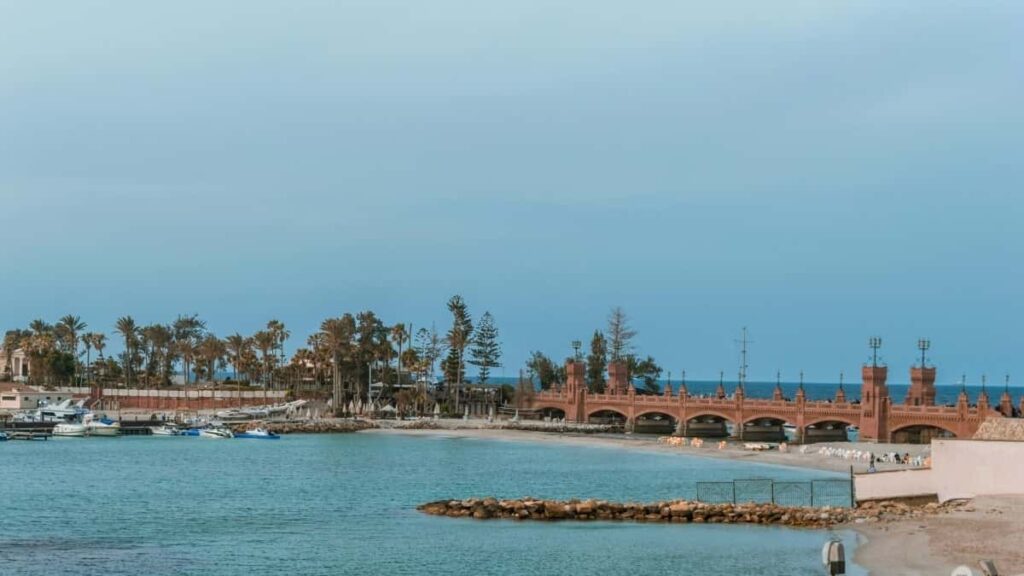 Tarif Publicitaire Instagram Brésil 2025 pour Annonceurs Marocains