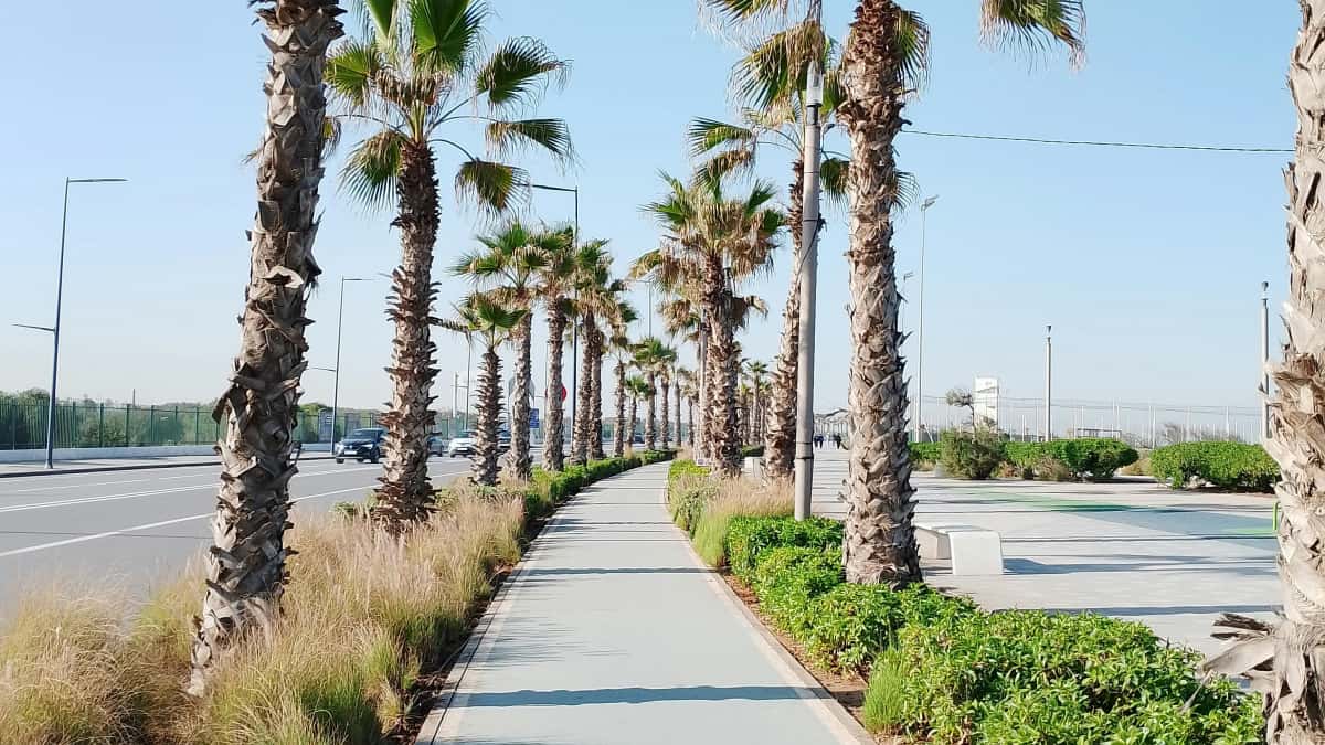 Annonceurs MA: Twitch tunisiens pour tours locaux
