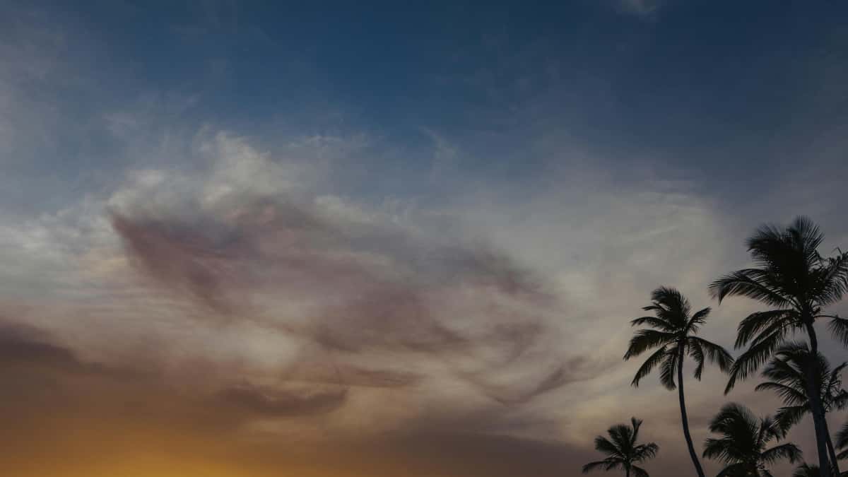 UAE Twitch Creators That Sell: Guide for Moroccan Brands