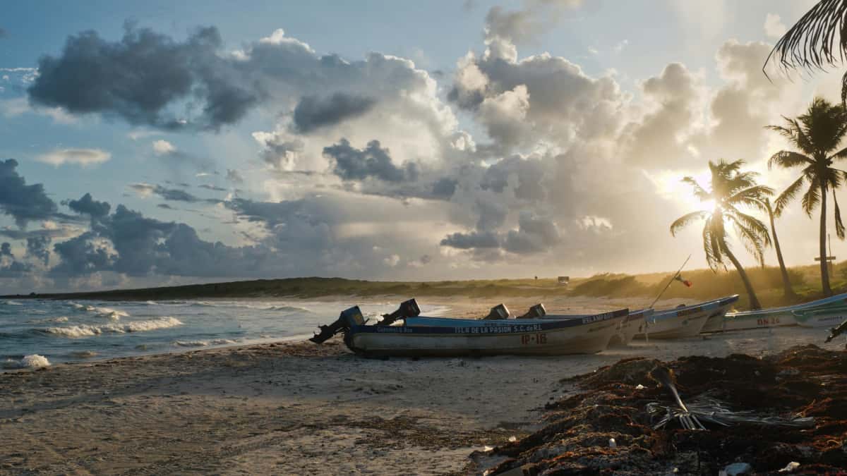 Créateurs MA: toucher marques Costa Rica sur Amazon