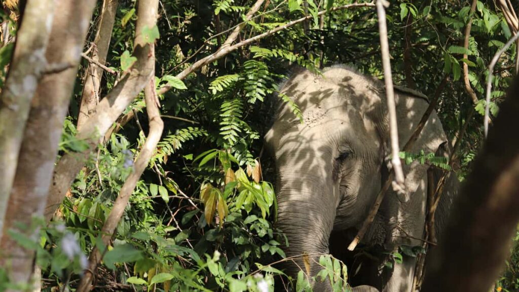 Guide pratique pour createurs au Maroc: comment contacter marques mongoles sur Taobao, obtenir et partager coupons temporaires, avec tactiques locales et outils.