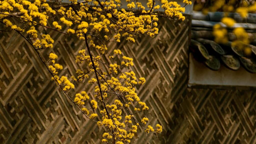 Guide pratique pour createurs au Maroc : comment approcher les marques kenyanes liees a Netflix pour collabs musicales et tendances.