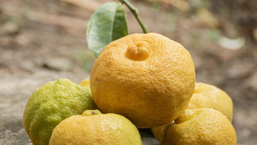 Guide pratique pour annonceurs au Maroc: comment identifier et engager des createurs ivoiriens sur VKontakte pour des essais SaaS cibles, avec outils, risques et strategie.