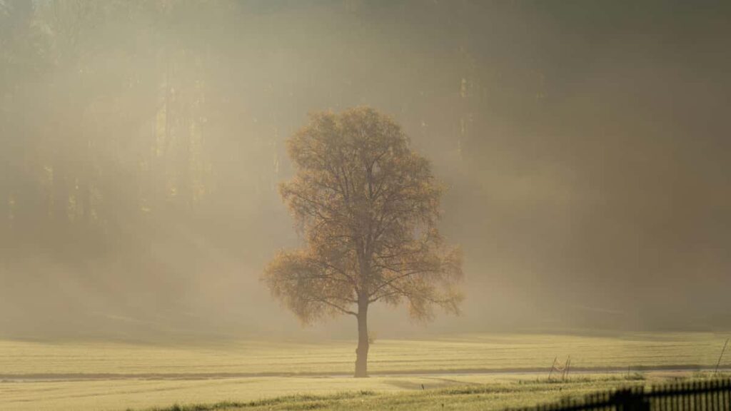 Guide pratique pour annonceurs au Maroc: comment identifier et recruter createurs lies a Netflix au Cambodge pour campagnes axees sur la durabilite.