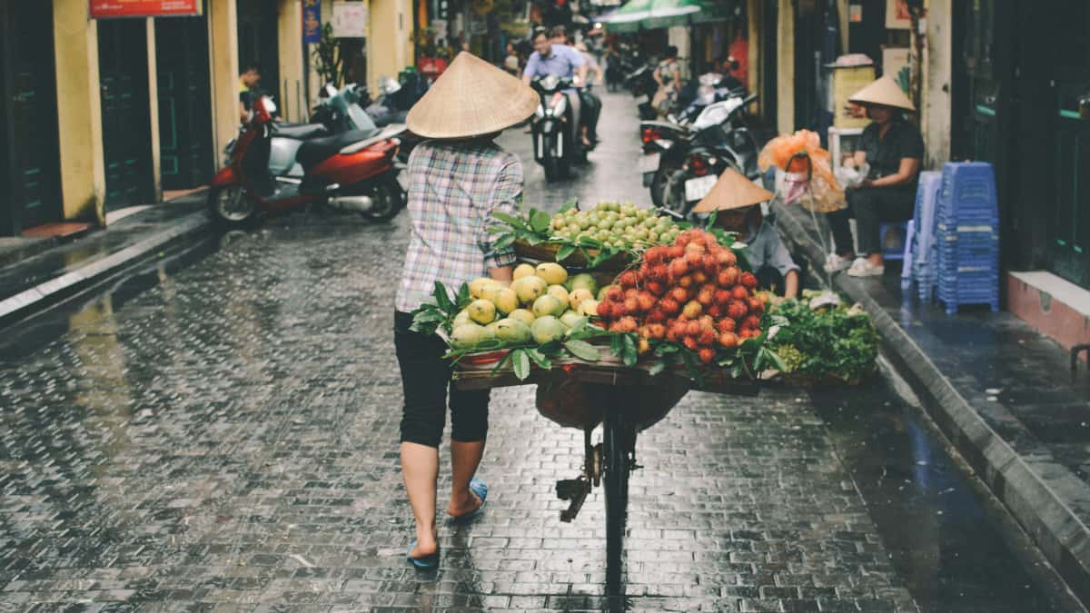 Créateurs MA: deals fixes marques tchèques sur Xiaohongshu