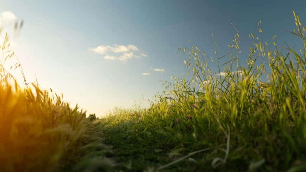 Guide pratique pour annonceurs au Maroc: comment reperer et lancer promos musicales avec createurs egyptiens actifs autour de Hulu et plateformes video.