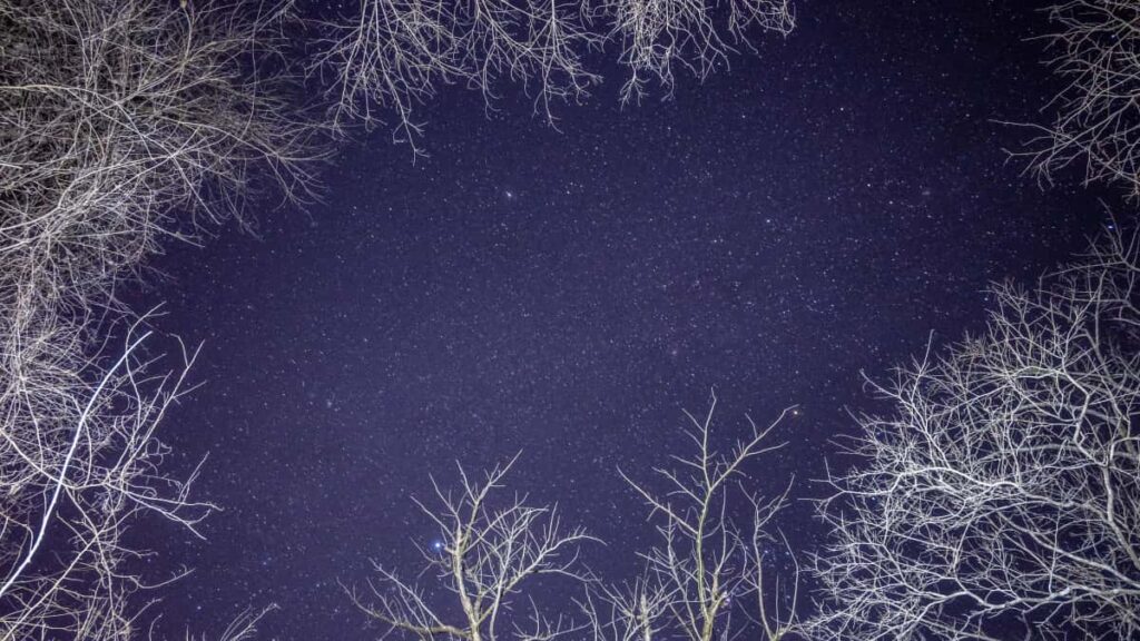 Strategies concretes pour createurs au Maroc qui veulent capter l'attention des marques cambodgiennes via Netflix: partenariats, fandom marketing, contenu localise et tactiques operationnelles.